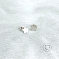ARETES DE PLATA 925 AR0304M