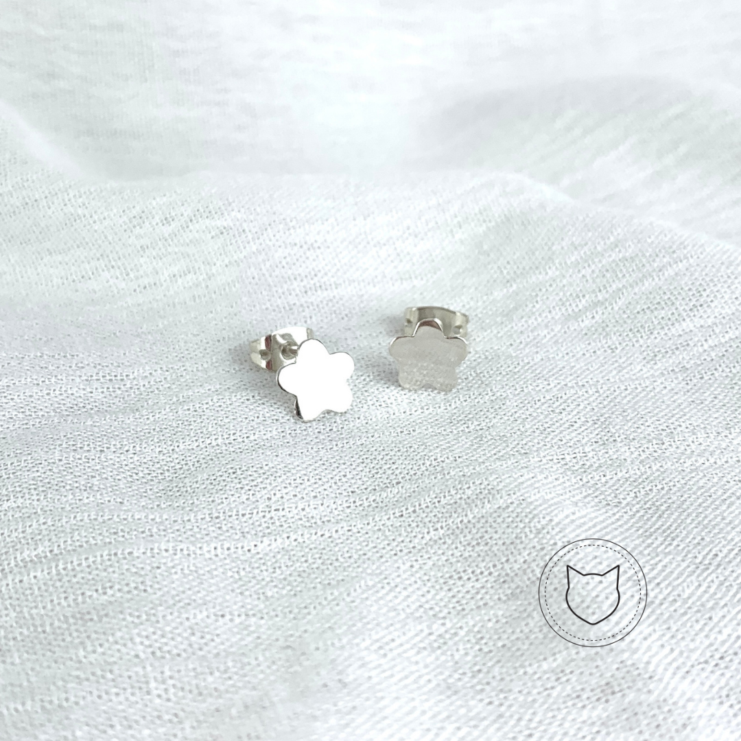 ARETES DE PLATA 925 AR0304M