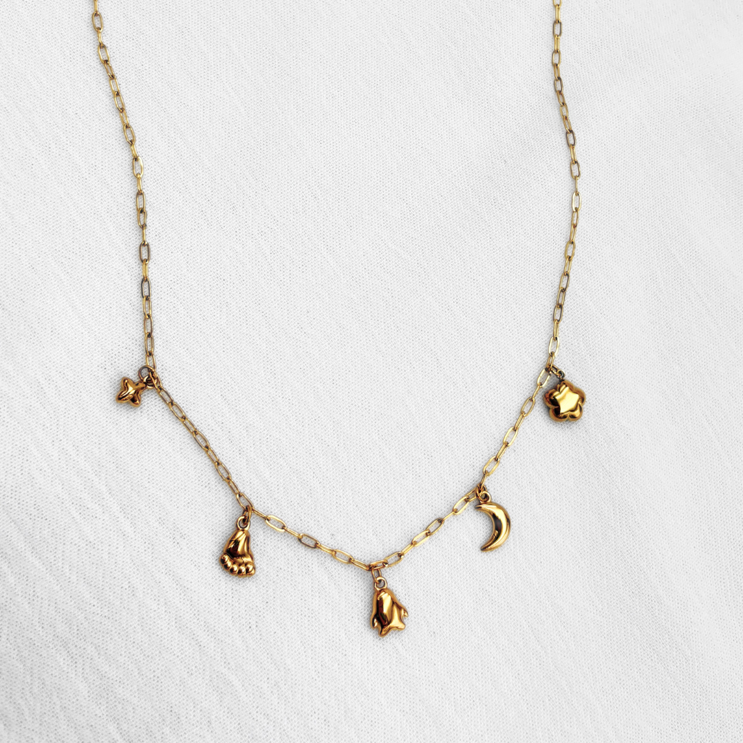 COLLAR DE ESLABONES FINOS CON DIJES ASTRALES Y DE LA SUERTE EN ACERO CO1888G30