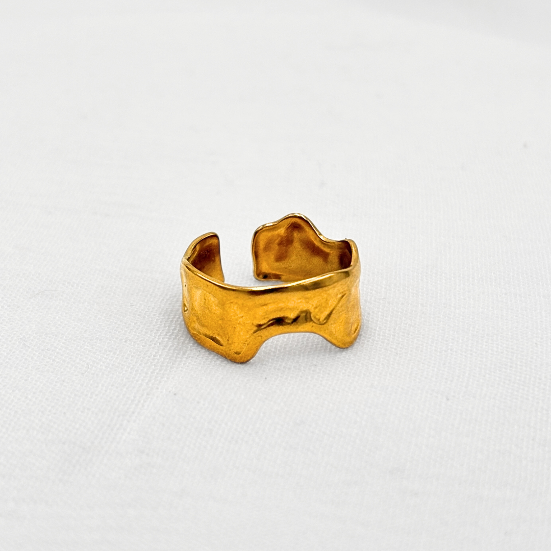 ANILLO AJUSTABLE DE BANDA ANCHA CON DISEÑO ORGÁNICO EN ACERO AN3905G137
