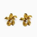 Aretes guaria AR3309G68