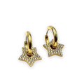 Argollas estrella brillante AG1896G32
