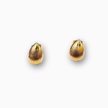 Aretes concha pequeña