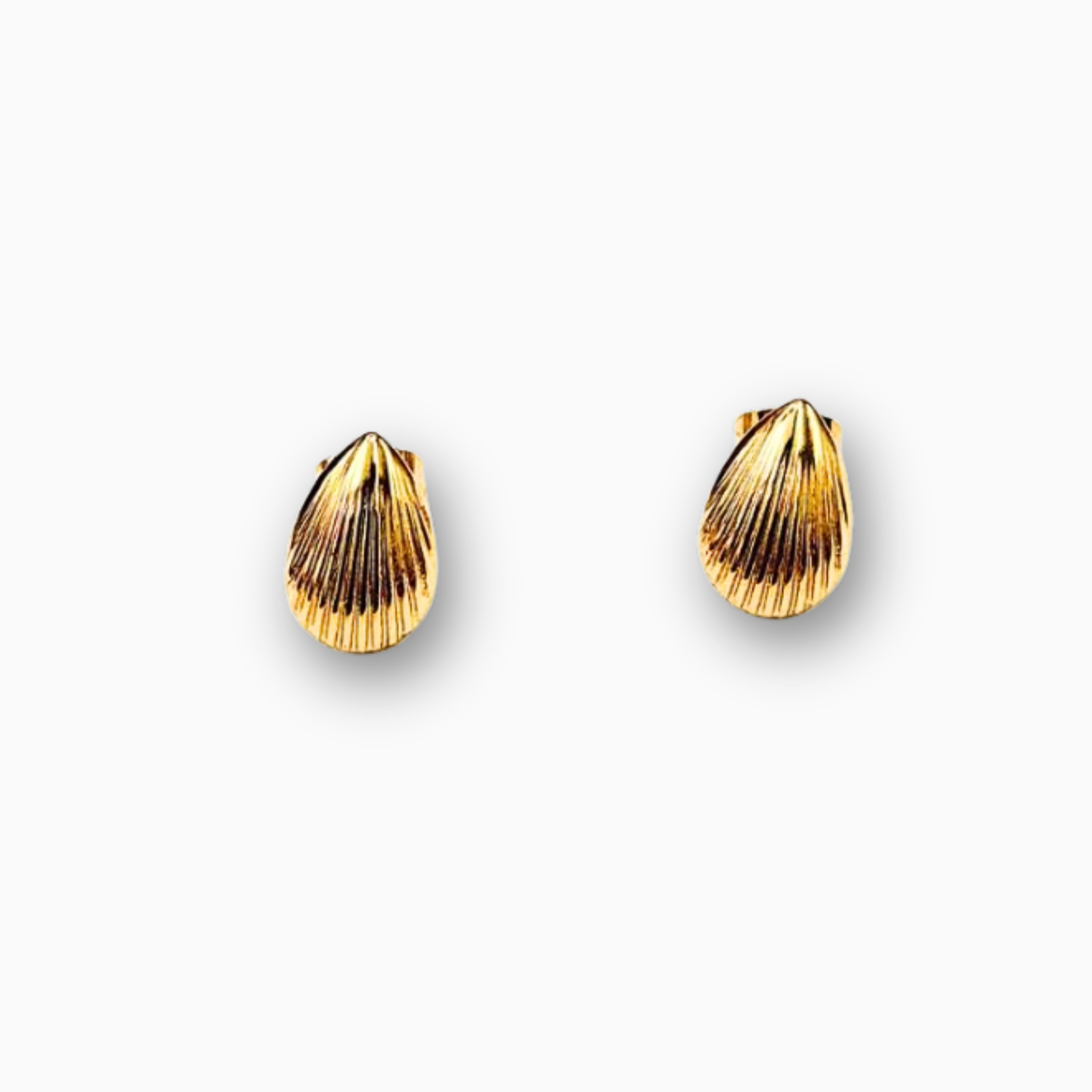 Aretes concha pequeña