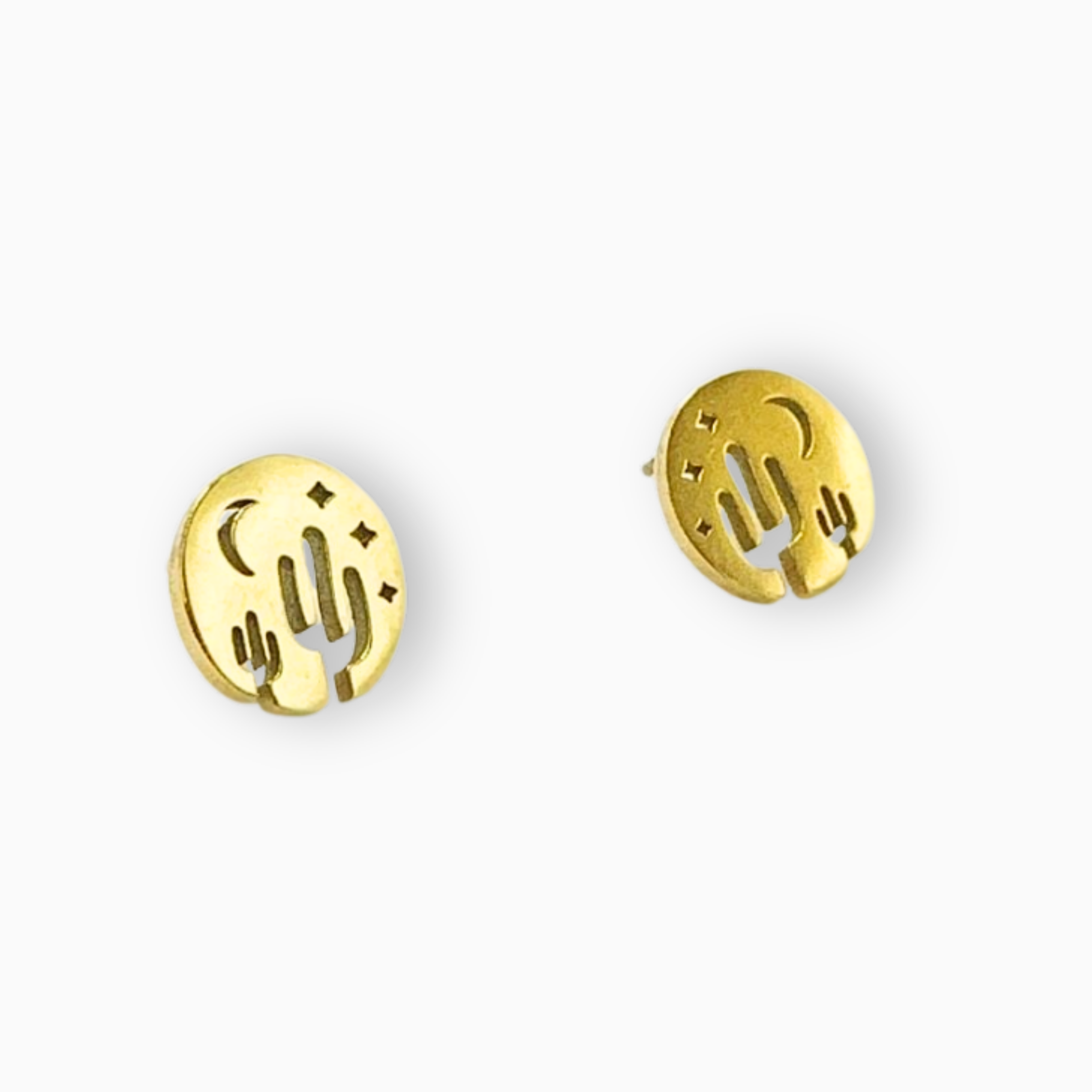 Aretes cactus noche